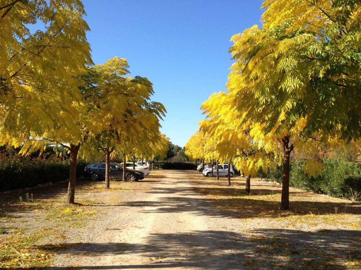 Mas de Cadoule Saint-Just (Herault) Quarto foto
