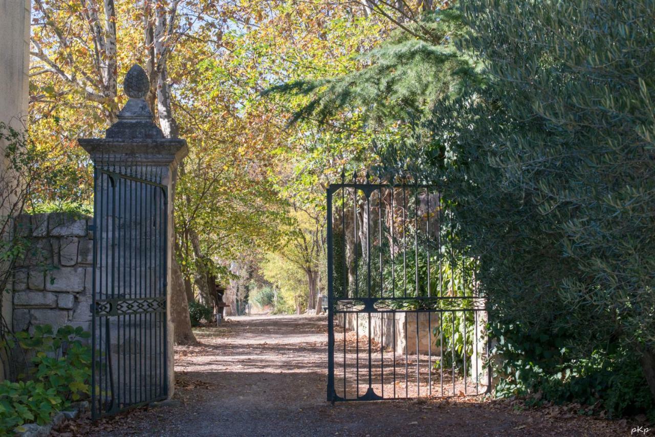 Mas de Cadoule Saint-Just (Herault) Quarto foto
